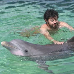 327 Prompts for Tiny Action Books