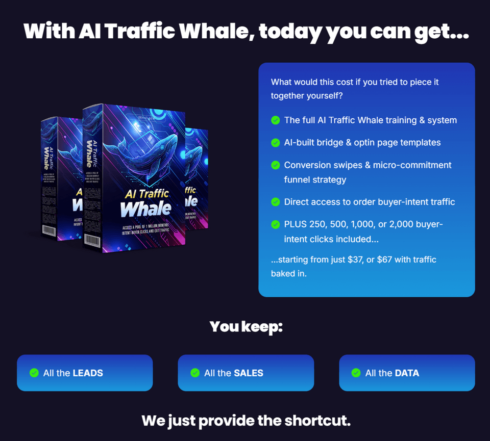 AI TRAFFIC WHALE